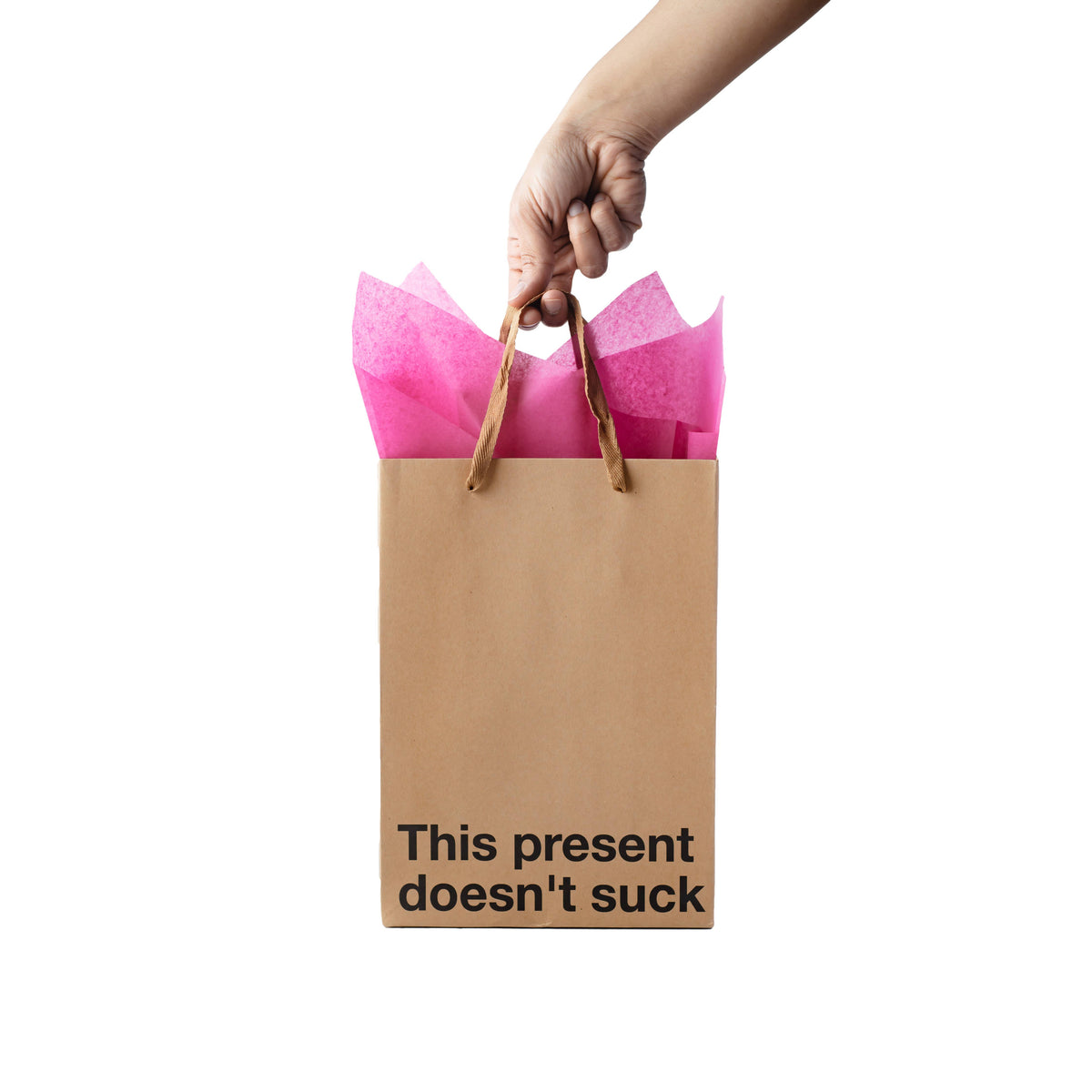 "This Present Doesn't Suck" Gift Bag